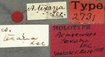 Media type: image;   Entomology 2731 Aspect: labels
